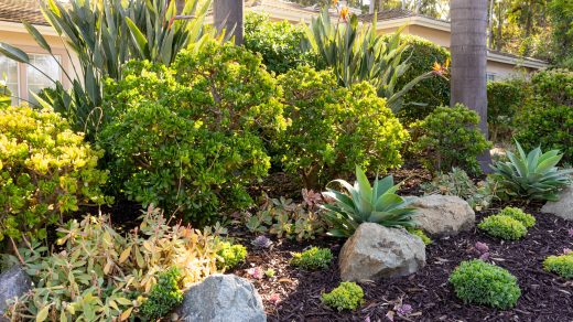 Experienced landscapers in Victoria BC